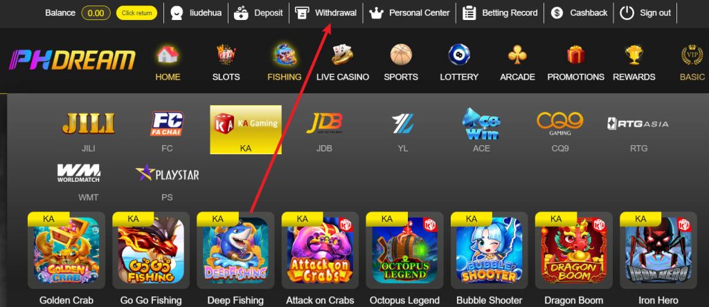 After successfully logging in, click "Withdraw"